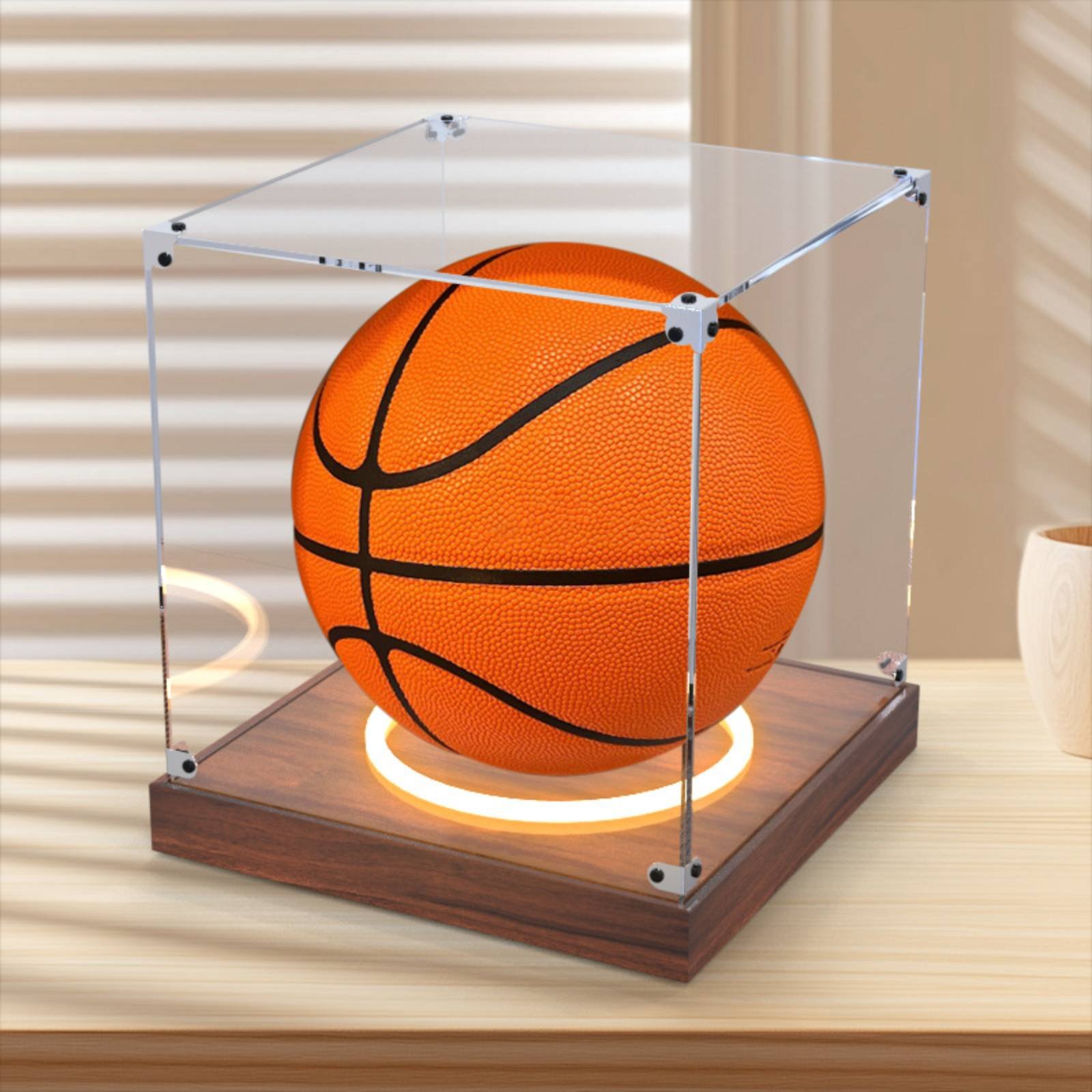 Акриловый футляр для демонстра – обзор и цена Display Case Acrylic