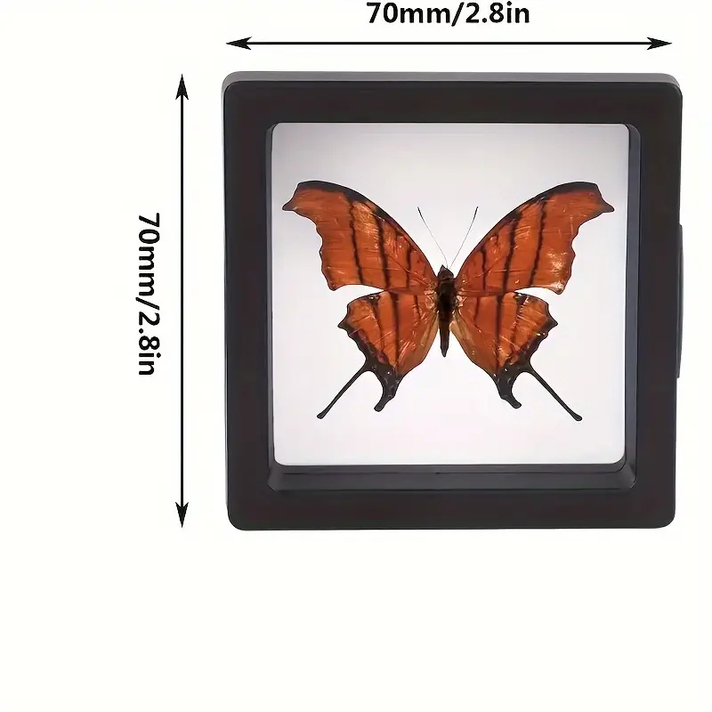 20 шт. Clearview 3D плавающие  – обзор и цена Display Case Acrylic
